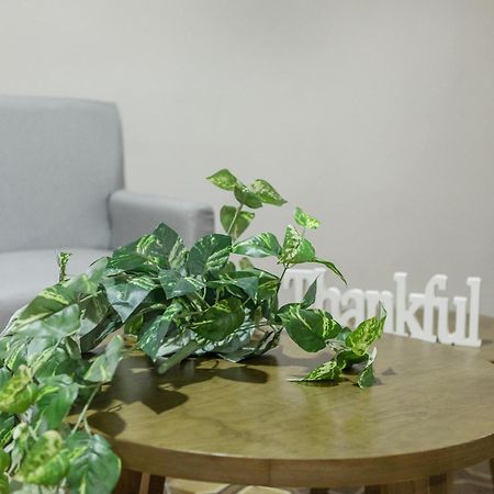 Relax In Style - Roma Norte 3Br - Fast Wifi Mexico by Eksteriør bilde