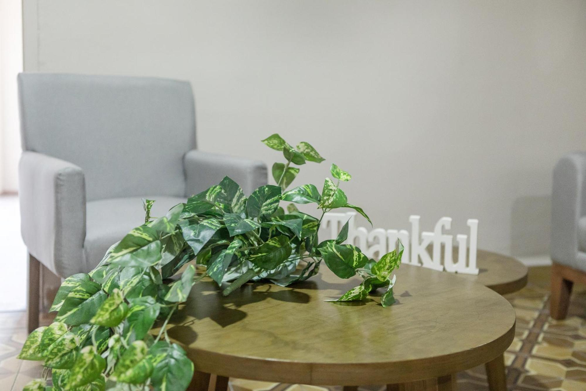 Relax In Style - Roma Norte 3Br - Fast Wifi Mexico by Eksteriør bilde